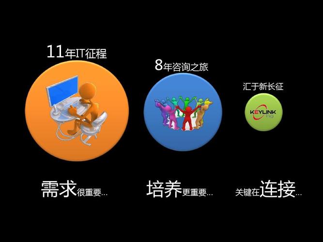 徐锋  需求分析的培养之路 11年it征程 8年咨询之旅 汇亍新长征 需求