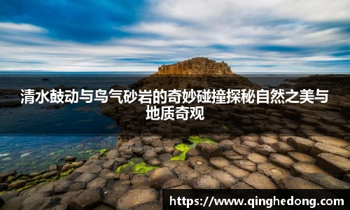球速体育