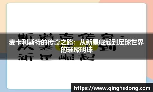 球速体育