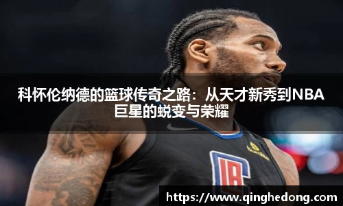 球速体育平台