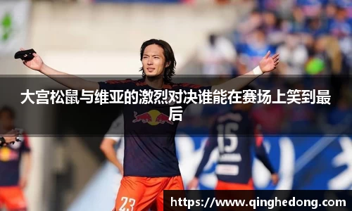 球速体育平台