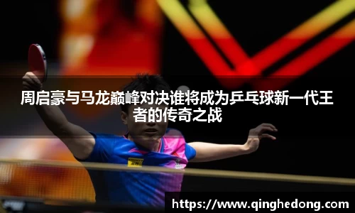 球速体育平台