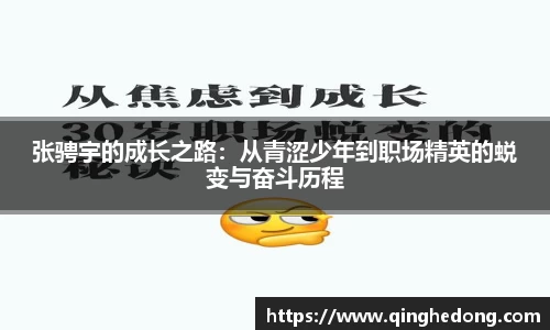 球速体育APP
