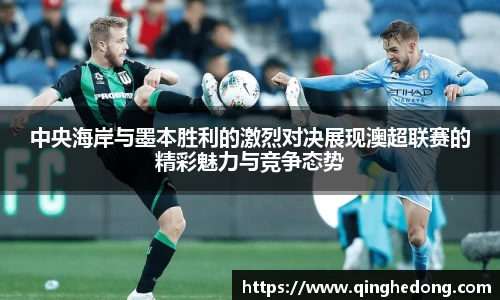 球速体育官网