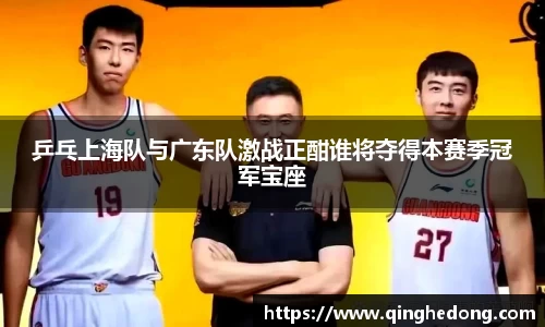 球速体育平台