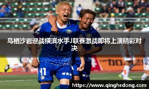 球速体育平台