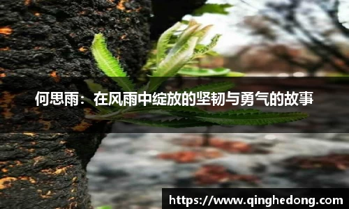 球速体育APP