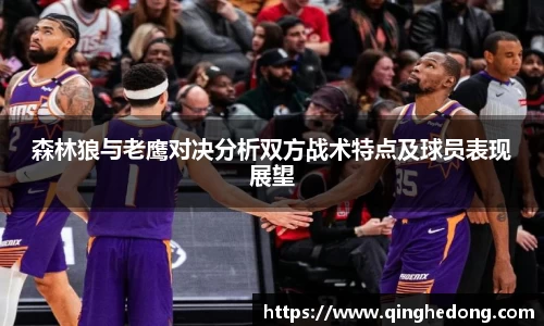 球速体育平台